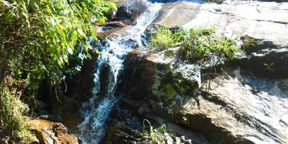 Propriedade Sampaio Correa (2)