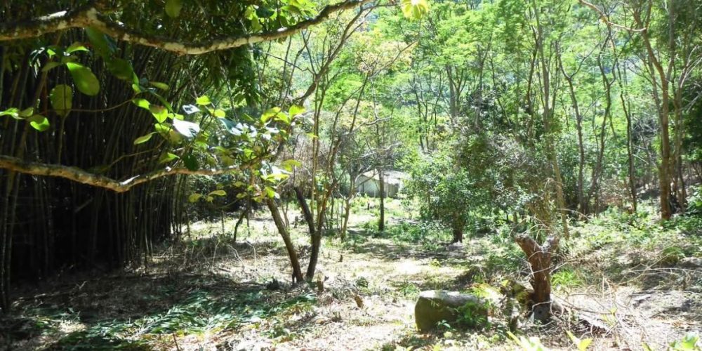 Propriedade Sampaio Correa (2)