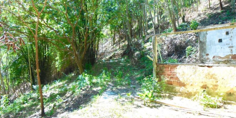 Propriedade Sampaio Correa (3)