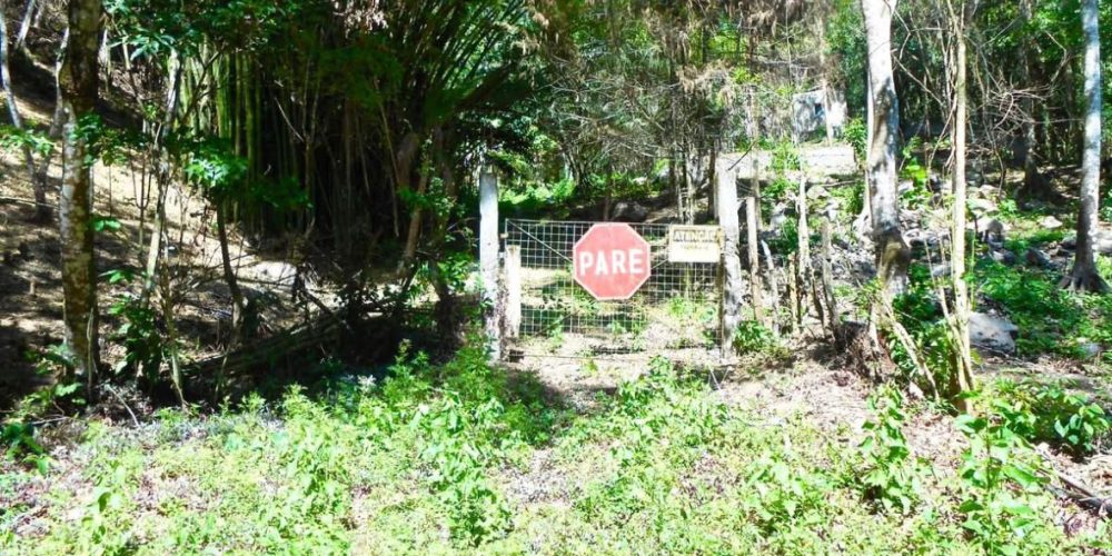 Propriedade Sampaio Correa (4)