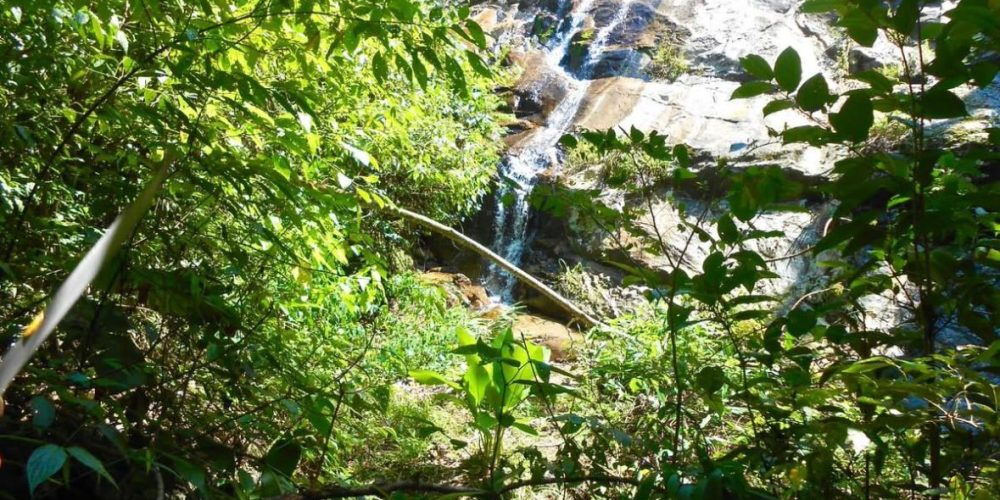 Propriedade Sampaio Correa (4)