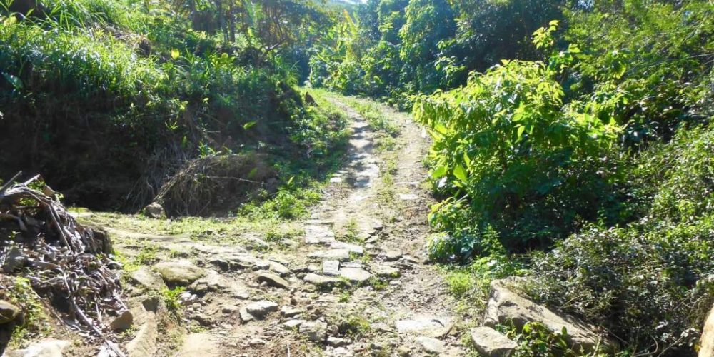 Propriedade Sampaio Correa (4)