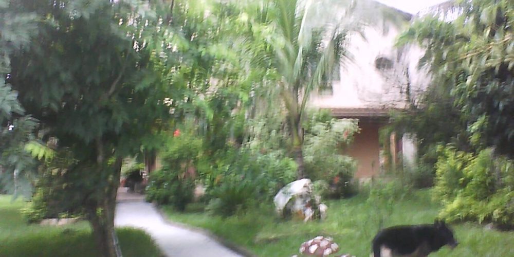 Sítio Itaboraí quintal