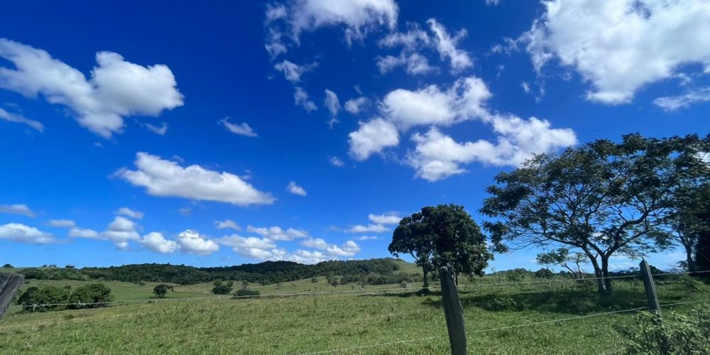 WhatsApp Image 2025-11-12 at 14.54.556