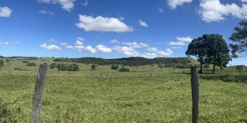 WhatsApp Image 2025-11-12 at 14.54.557